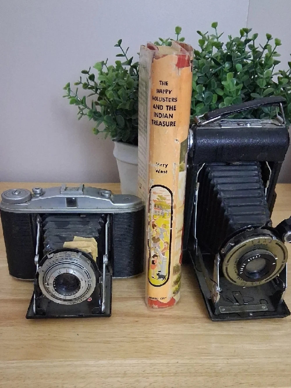 Vintage Cameras Decor